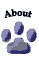 About REX